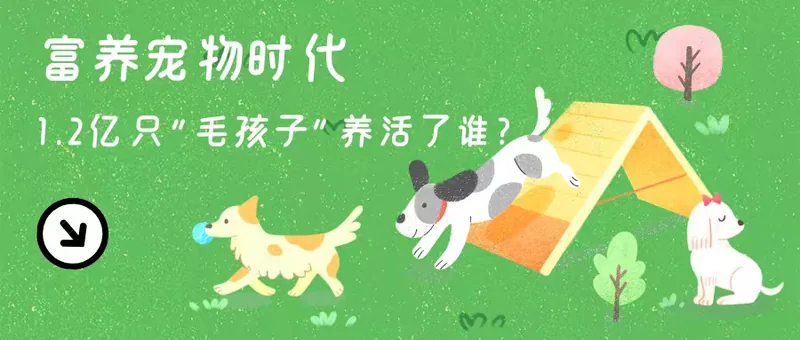 富养宠物时代数据新闻作品封面